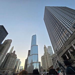 Meet your Posher, Quinn